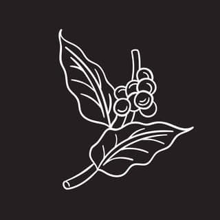 Parlor Coffee