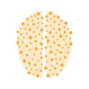 Synapse
