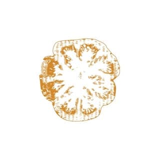 Café Rumi