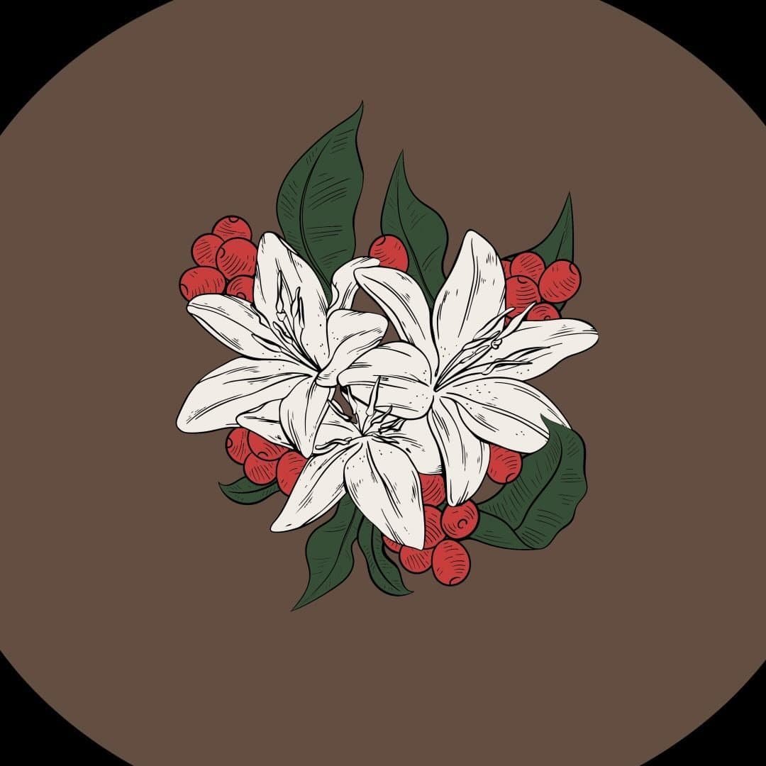 Flor de cafe