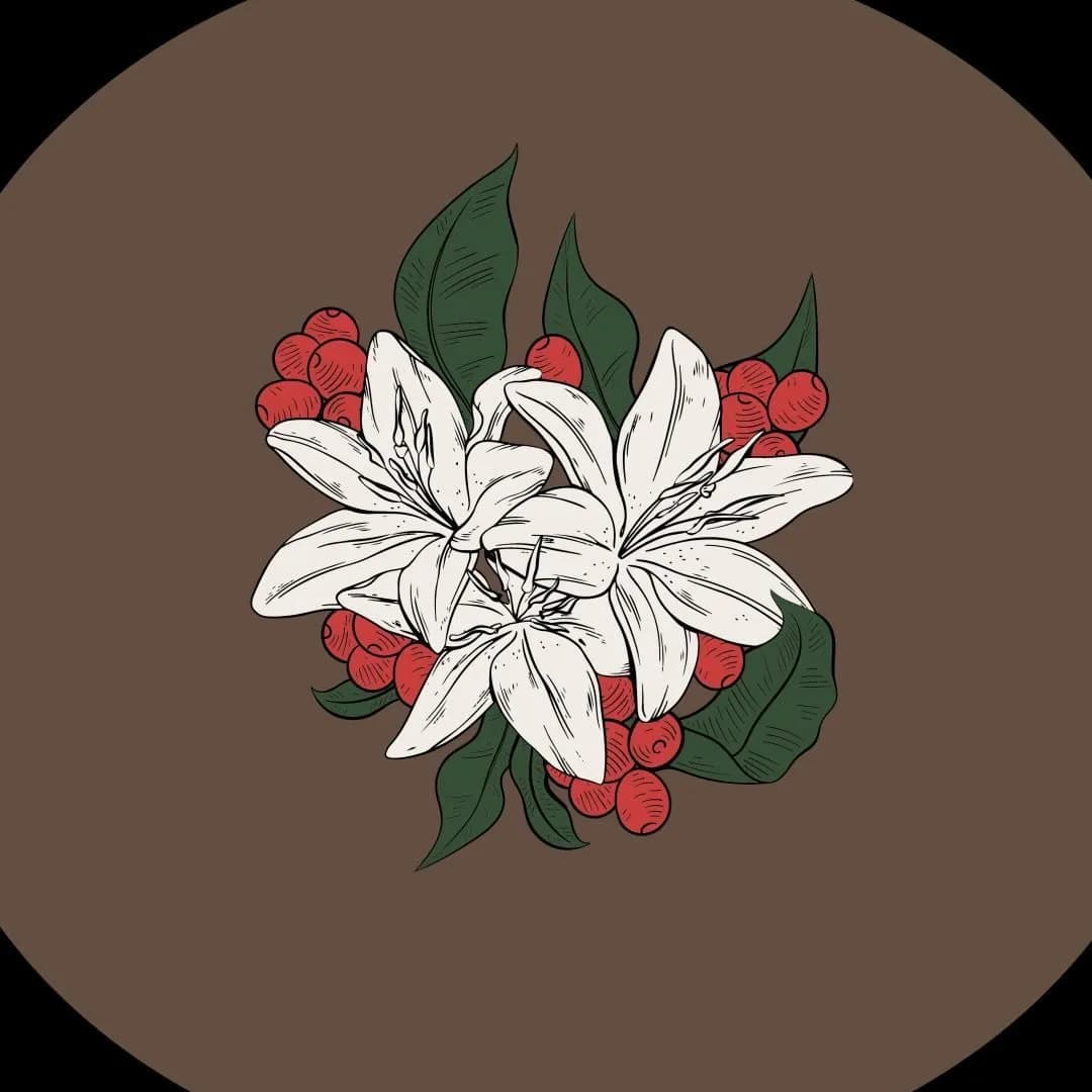 Flor de cafe