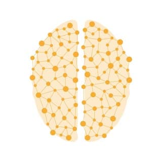 Synapse