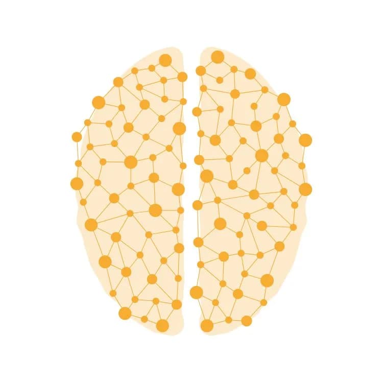 Synapse