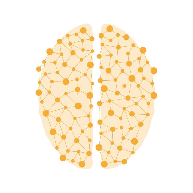 Synapse