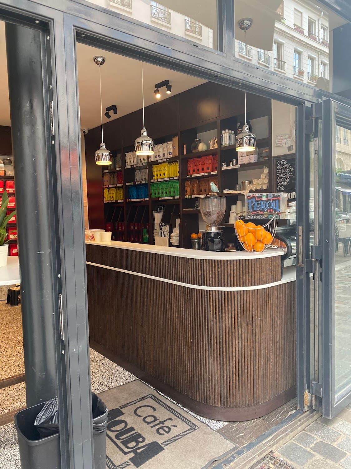 sara bruzzese