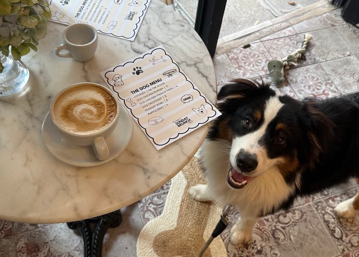 Café George — specialty coffee shop in Paris (photo 1)