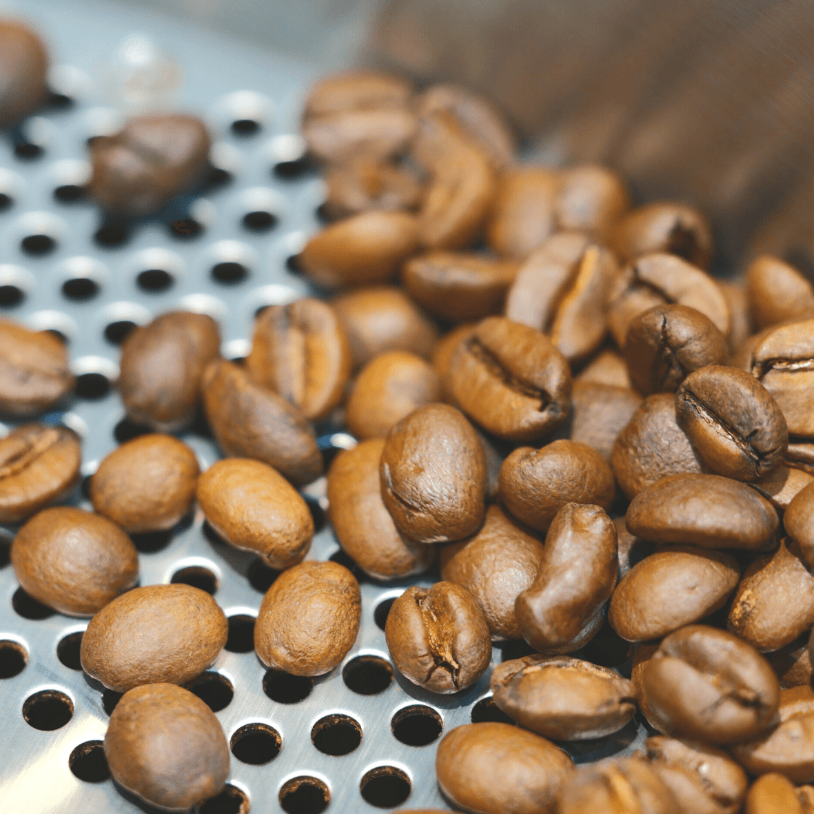 Canopi Coffee