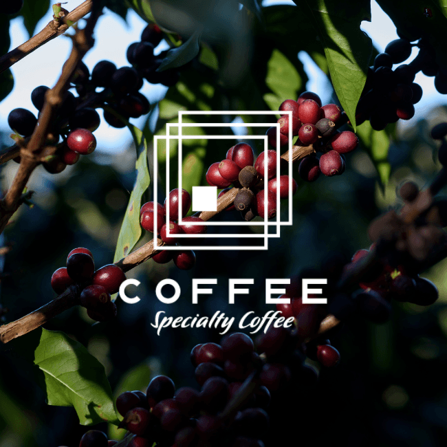 Coffee Specialty Coffee — specialty coffee shop in Paris (photo 7)