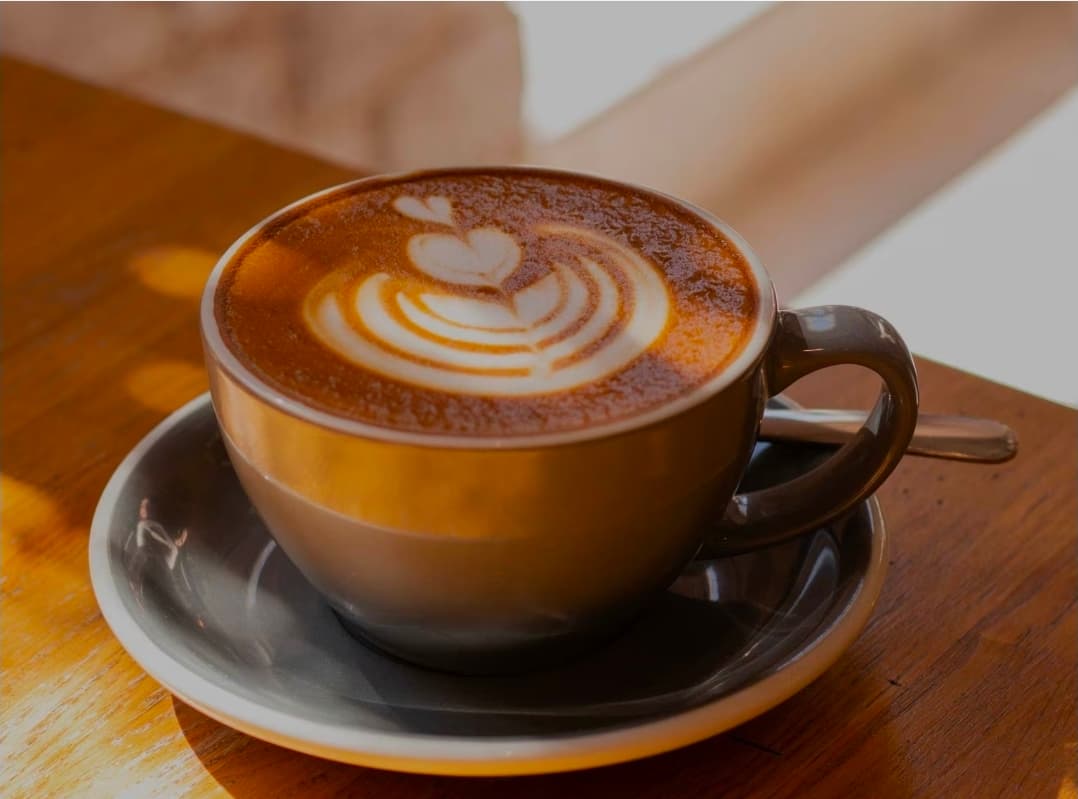 Dialogues, specialty coffee shop in Paris (photo 8)