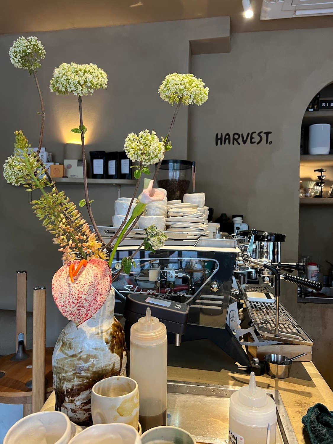 Harvest. — specialty coffee shop in Paris (photo 2)