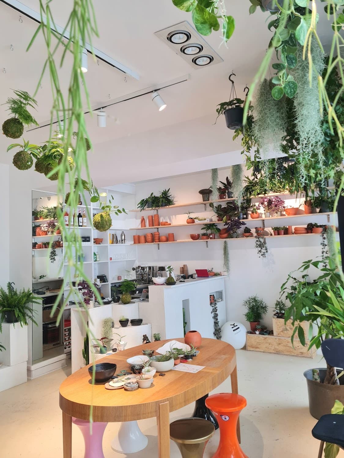 Ikebanart — specialty coffee shop in Paris (photo 1)