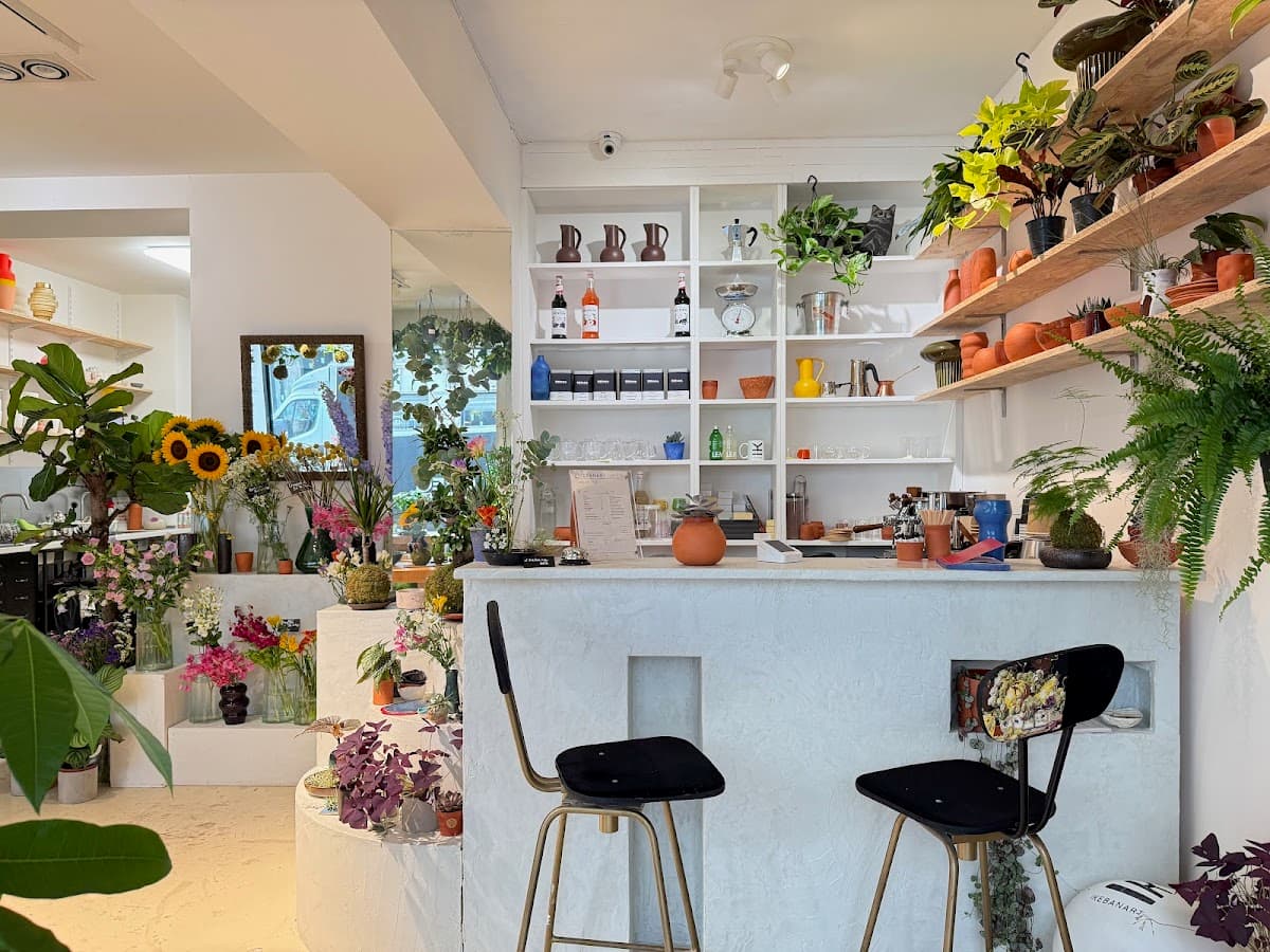 Ikebanart, specialty coffee shop in Paris