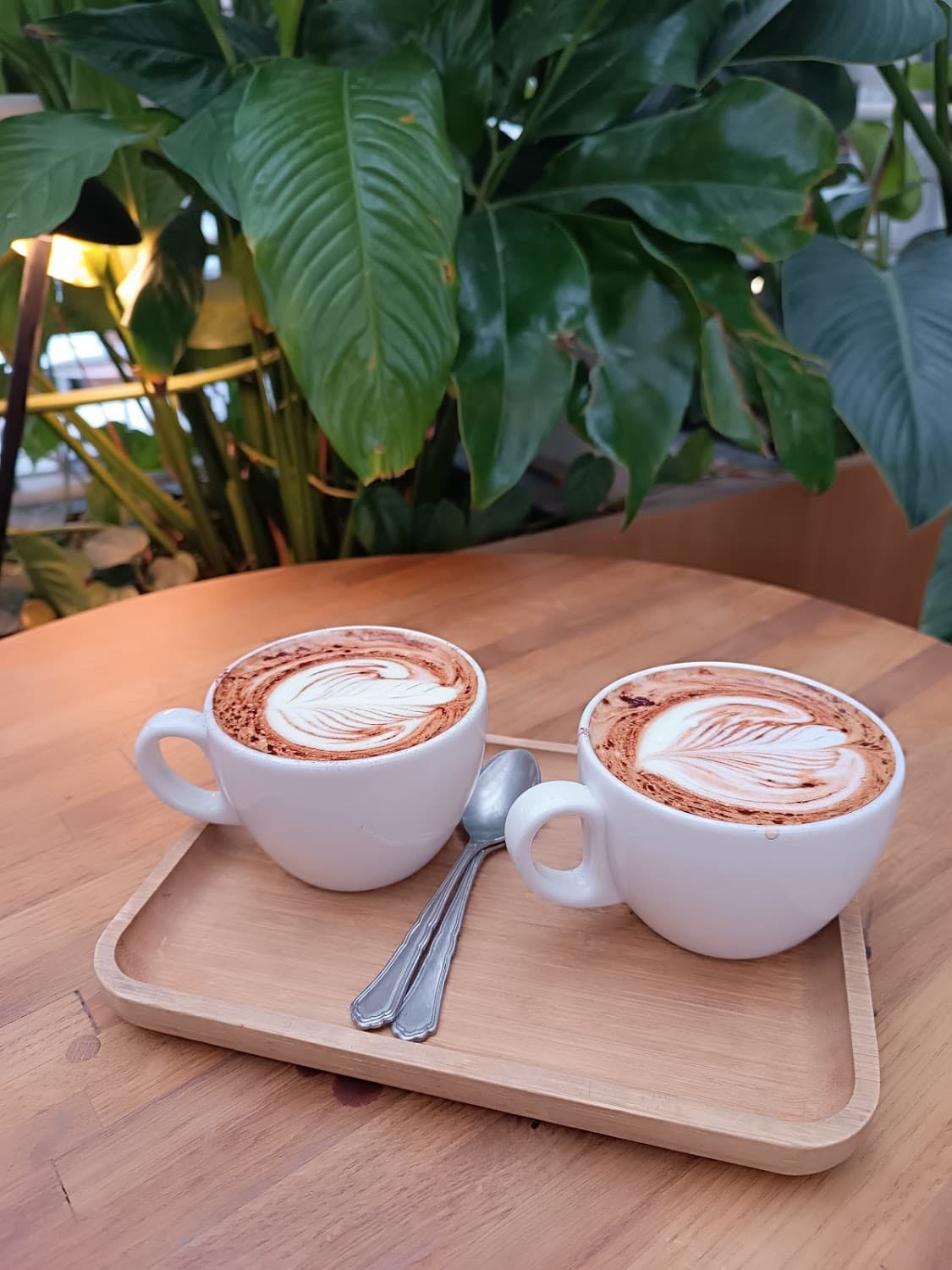 kawaa Lumière — specialty coffee shop in Paris (photo 2)