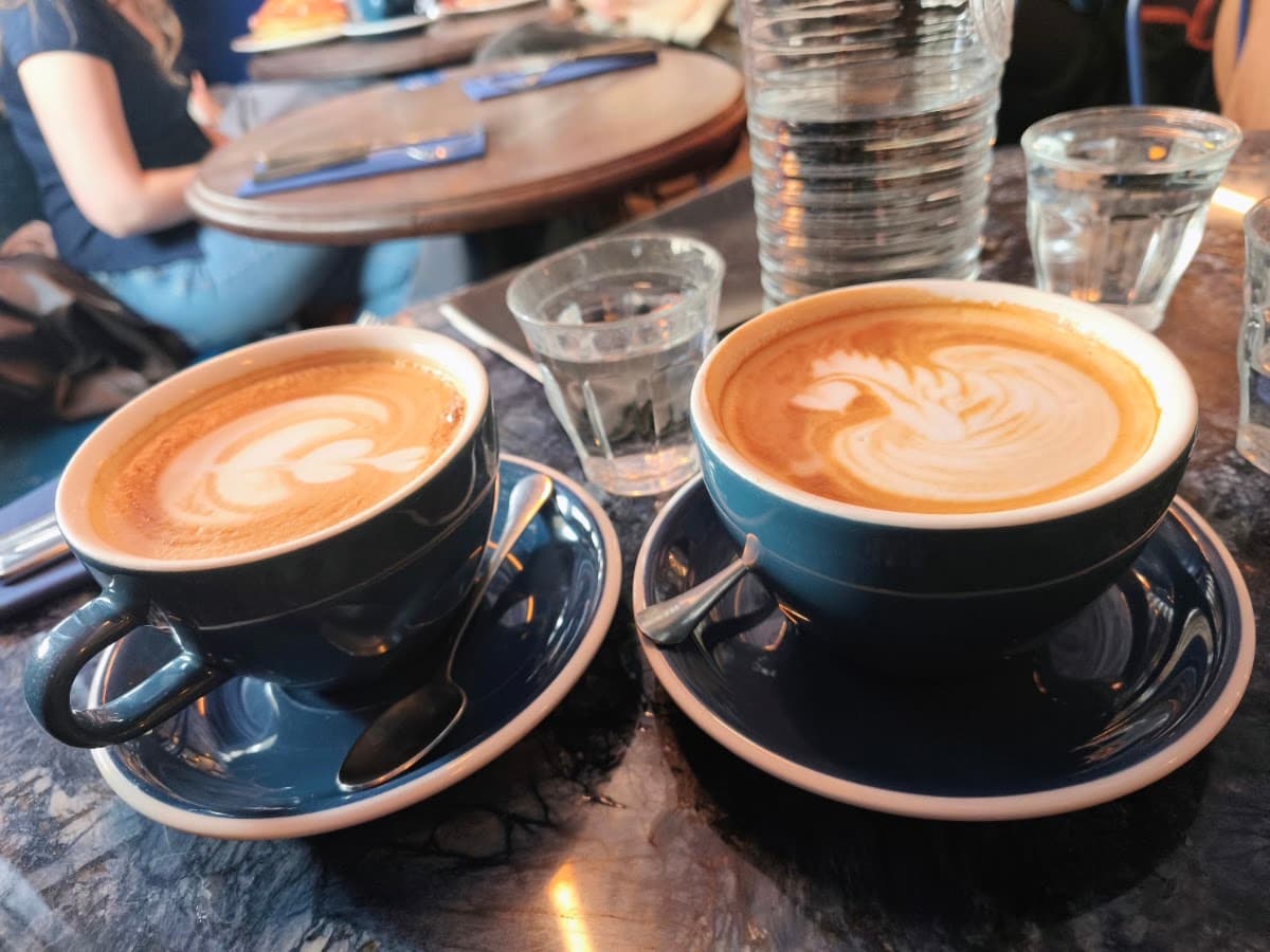 Kozy - Rue du Petit Pont, specialty coffee shop in Paris (photo 3)