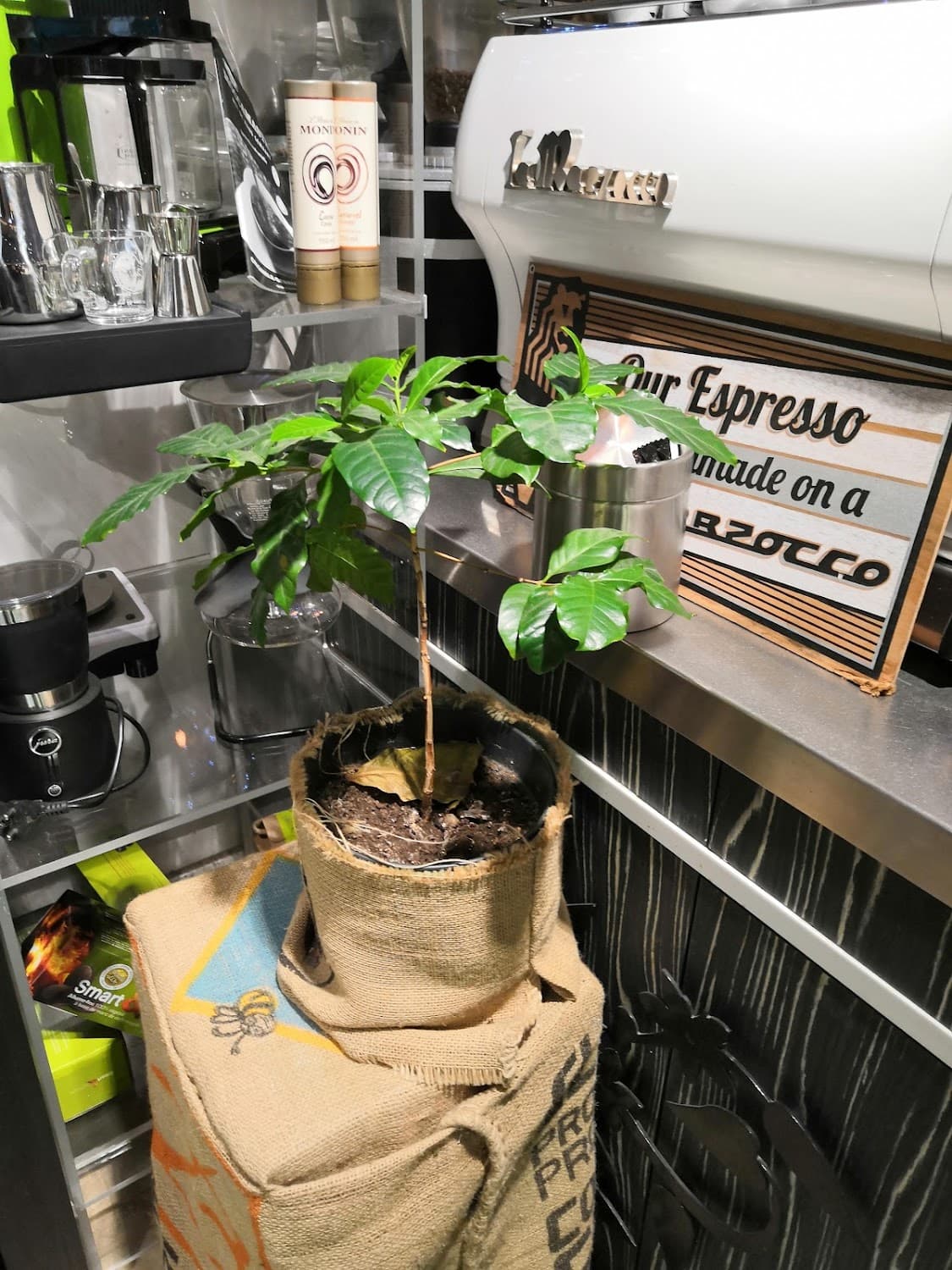 La Boutique Caron, specialty coffee shop in Paris (photo 7)