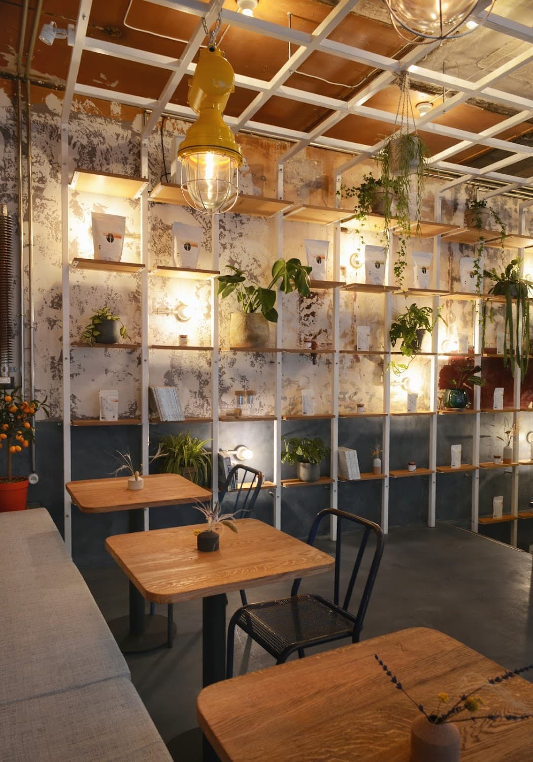 La Main Noire — specialty coffee shop in Paris (photo 4)