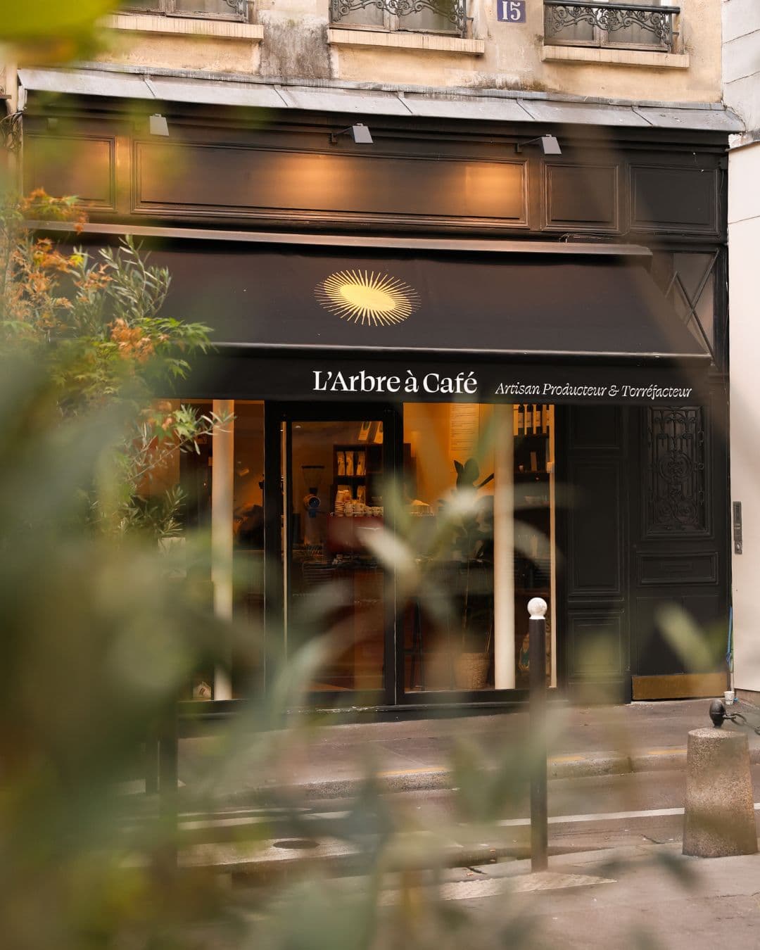 L'Arbre à Café - Odéon