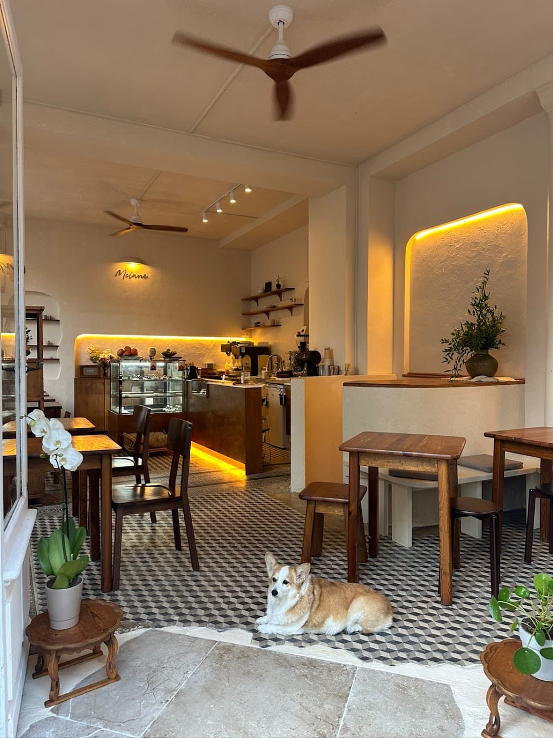Melané, specialty coffee shop in Paris