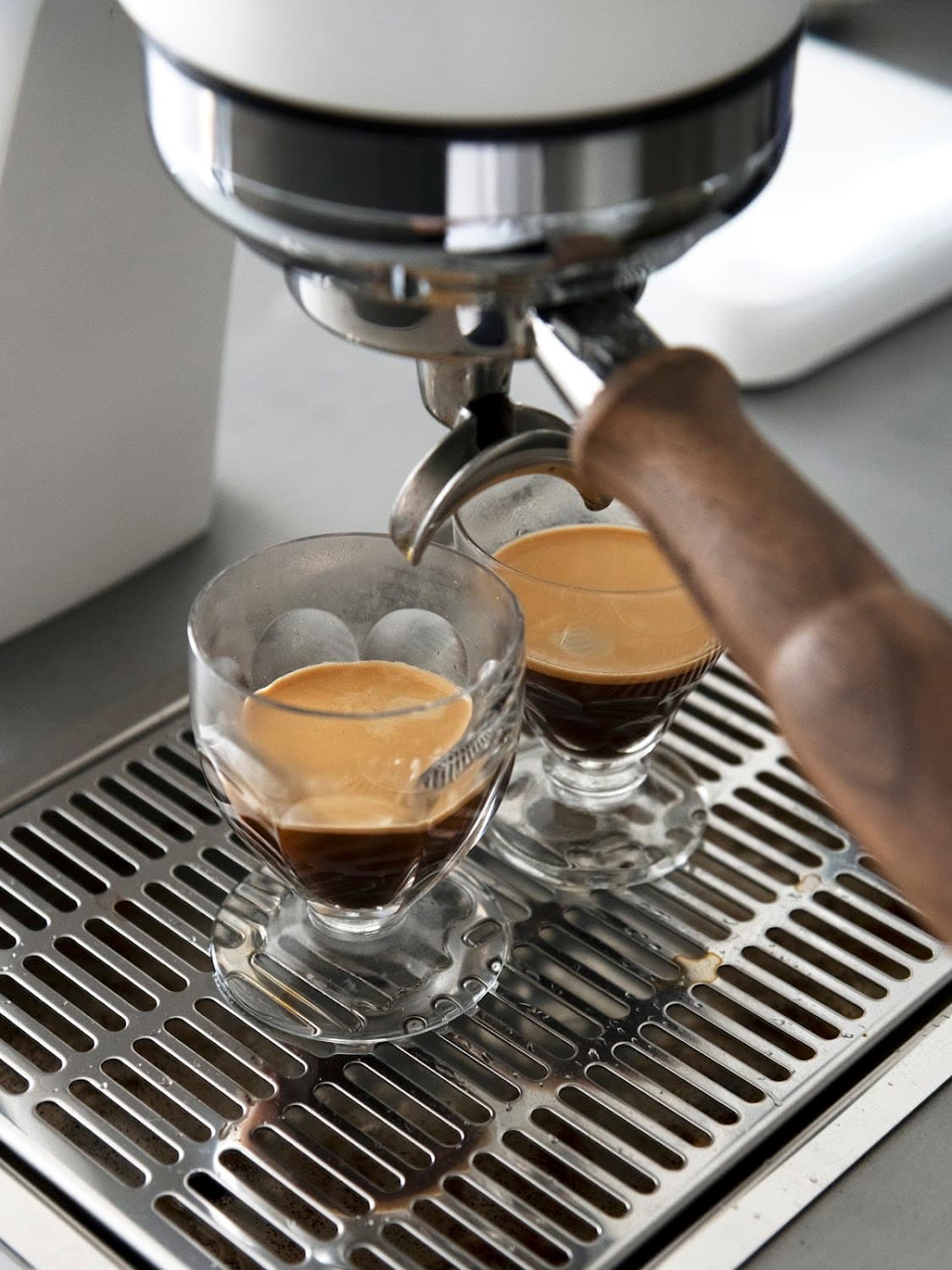 Momus — specialty coffee shop in Paris (photo 2)