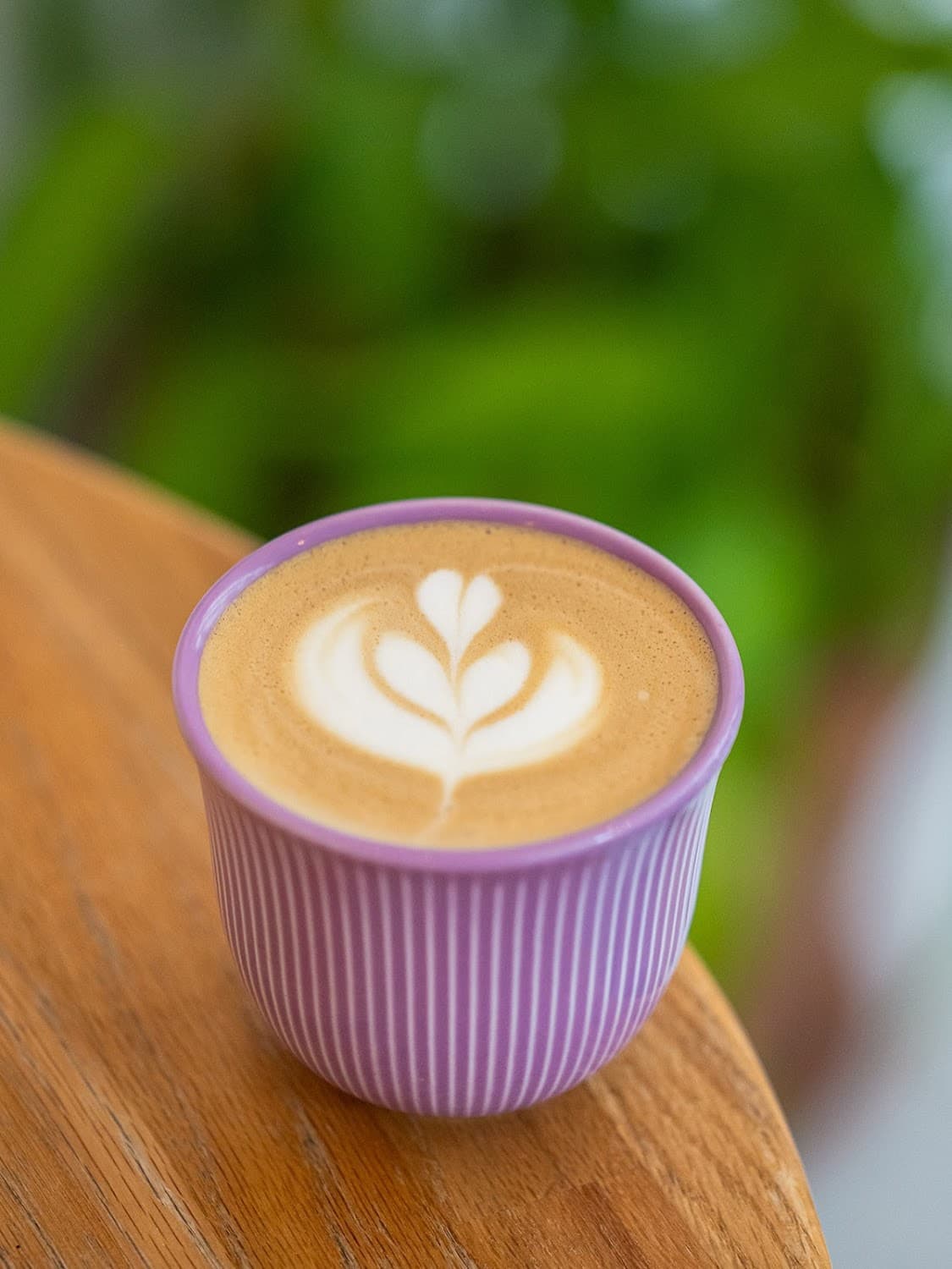 Panas café — specialty coffee shop in Paris (photo 5)