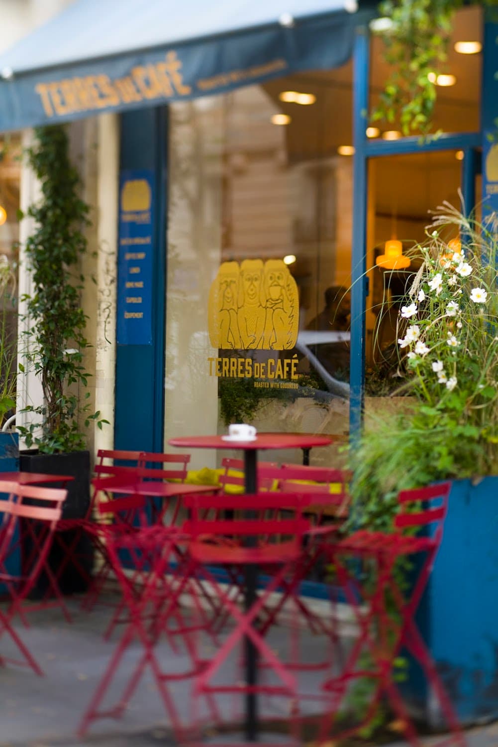 Terres de Café - Bourdonnais — specialty coffee shop in Paris (photo 1)