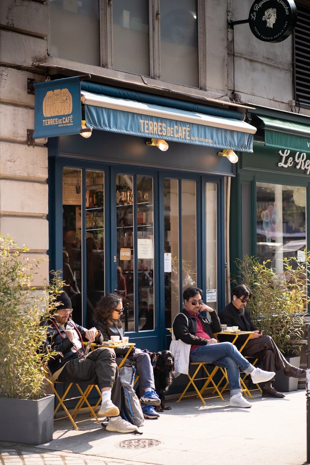 Terres de Café - Rambuteau, specialty coffee shop in Paris