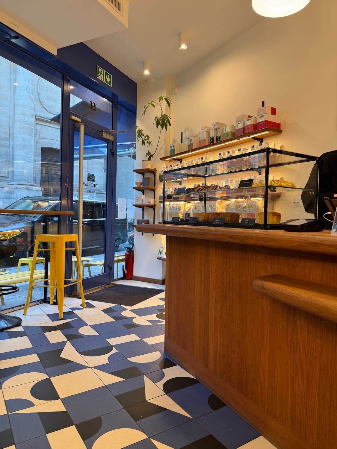 Terres de Café - Saint Honoré, specialty coffee shop in Paris (photo 5)