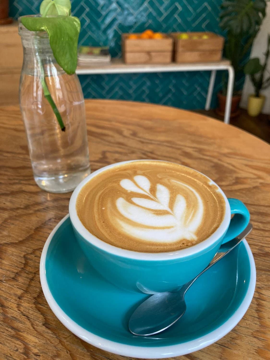 Yellow Tucan Coffee